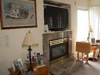 lower level fire place